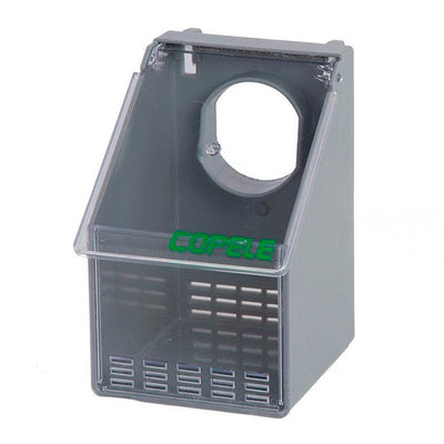 Comedero Perdizes - 1 hueco Transparente - PECFARM