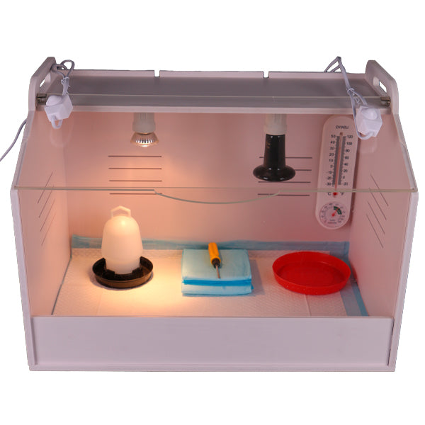 Criadora BoX 600 con calefacción y accesorios - PECFARM