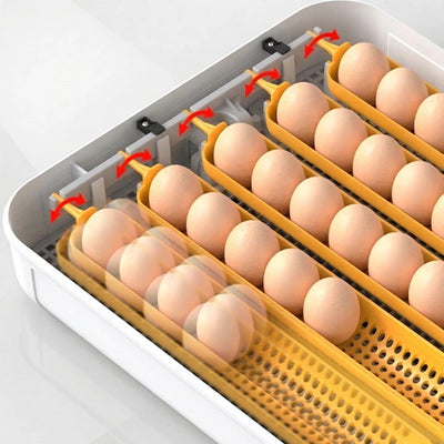 Incubadora NEXA 40 XH con control automático de la humedad