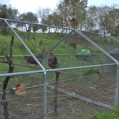 Gallinero exterior de 3x2x2m (estructura resistente)