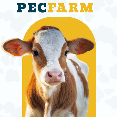Quienes somos - PECFARM