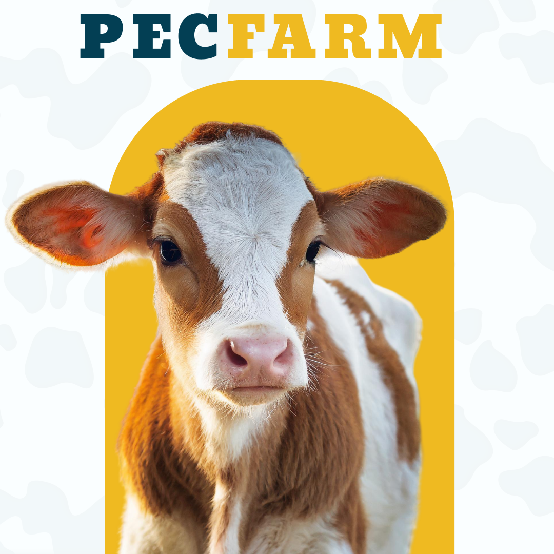 Quienes somos - PECFARM