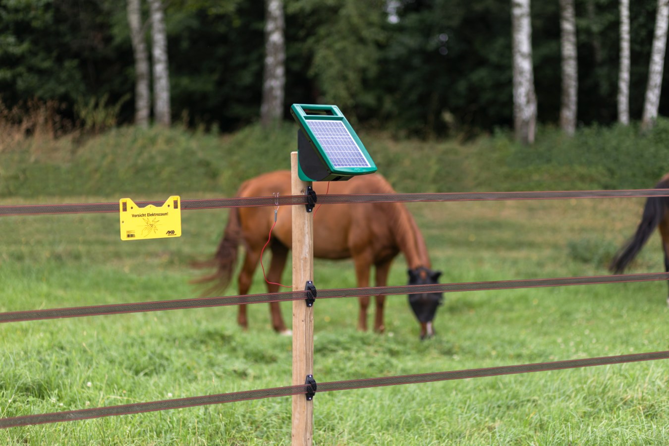 Pastor Eléctrico Solar AKO SunPower S-500 - PECFARM