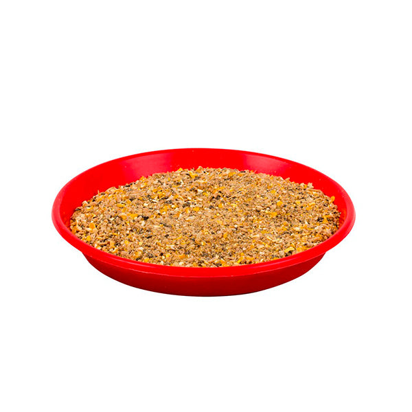 Plato para aves de 1ª edad, 20 cm - PECFARM