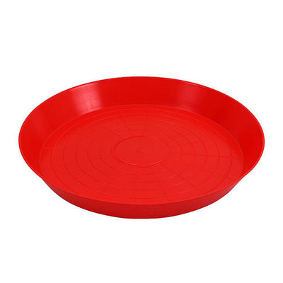 Plato para aves de 1ª edad, 40 cm