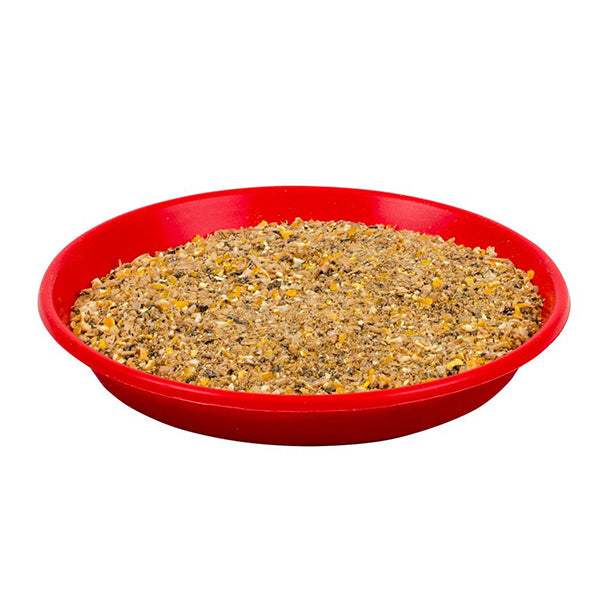 Plato para aves de 1ª edad, 40 cm